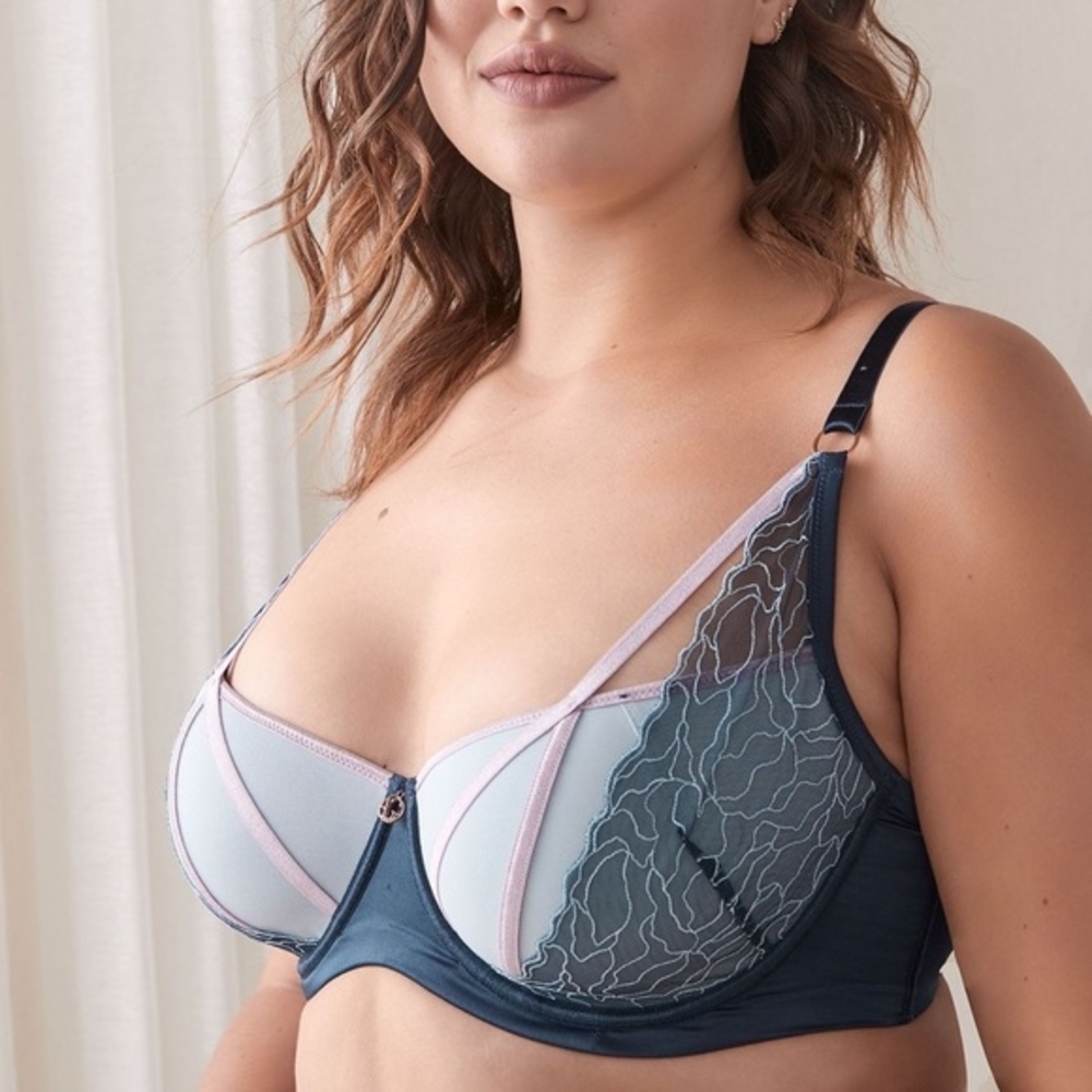 Ashley Graham Navy and Pink Lace Bra Size 36D